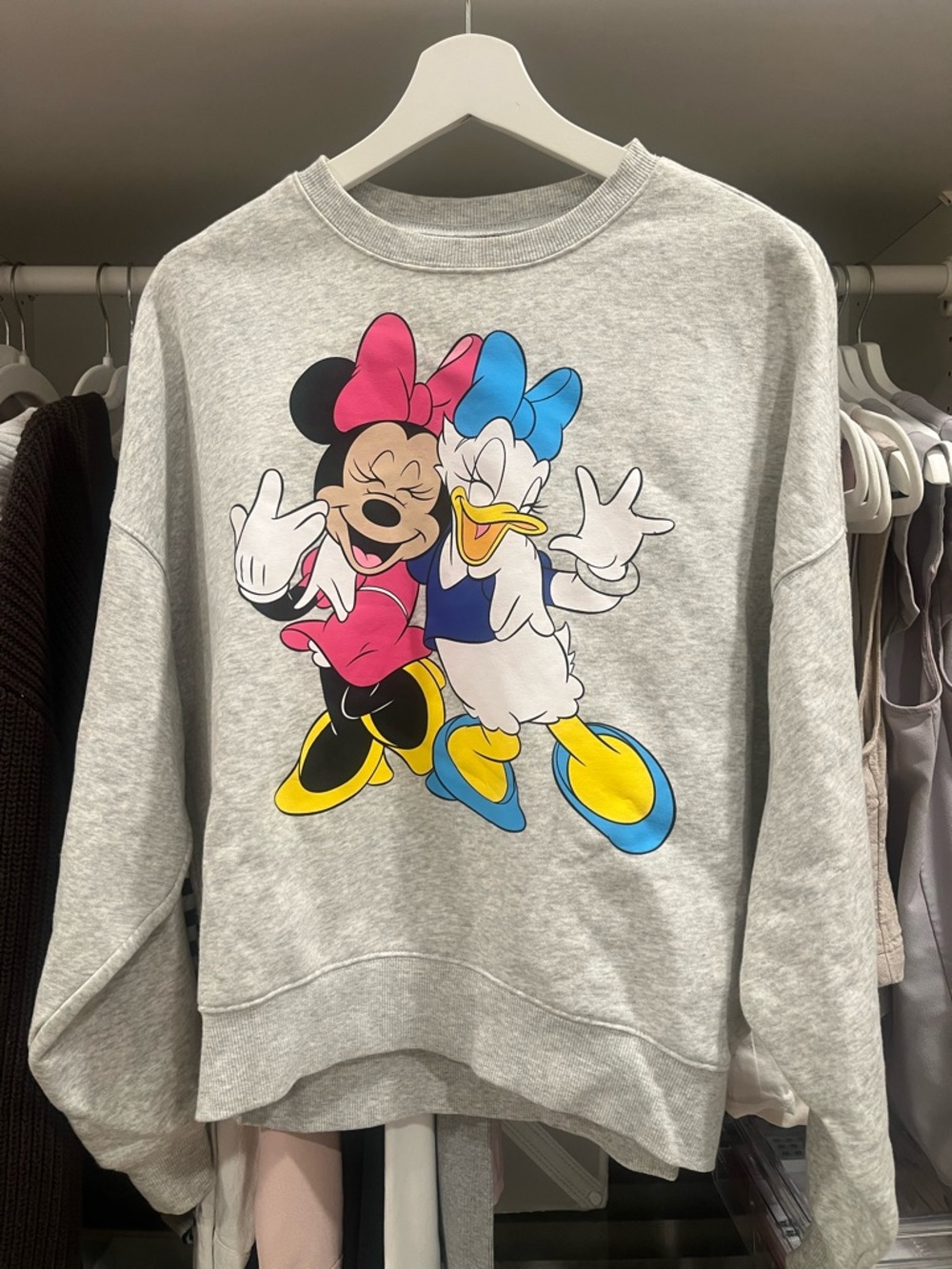 Minnie & Daisy Graphic Fleece Lined Sweatshirt - Size Medium